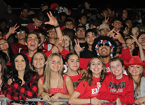 Students in Ironwood gear cheer at game